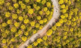 我的世界为你留住春天