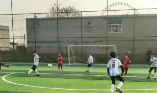 邢台学考成绩查询入口