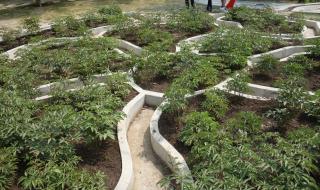 郑州黄河国家湿地公园