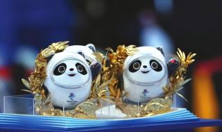 熊猫乐乐死因初步确定