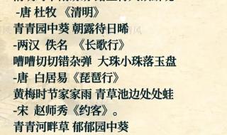 2024诗词大会播出时间表