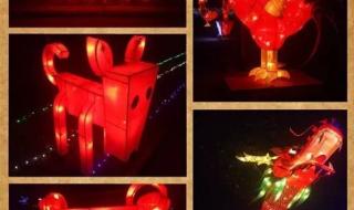 郑州有什么好玩的地方