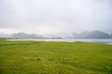 水貂皮草有味道