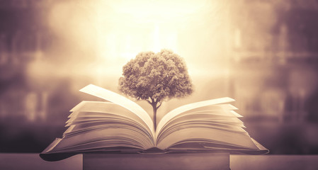 8分乳胶床垫多少钱一张乳胶床垫有什么优点 真正的乳胶床垫多少钱