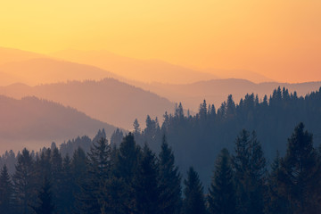 请告诉我1至12月有什么花？