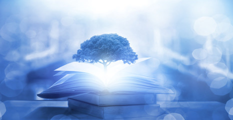 德云社哪些人称得上是张云雷的发小？