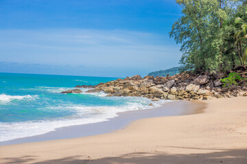 好忘事怎么办吃什么提高记忆力