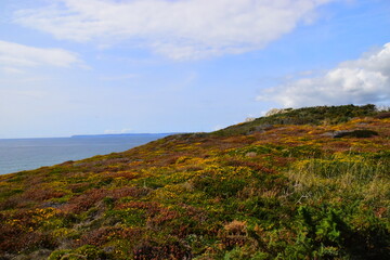 三峡这篇课文有什么写作特点？