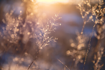 叠影狙击是电影吗 狙击电影排行榜前十名