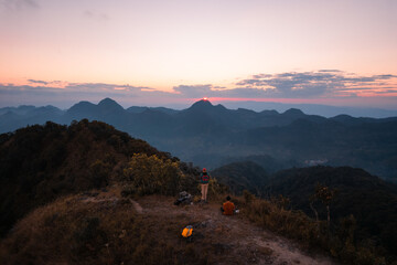 狗咬死的鸡有什么特点
