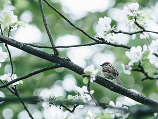 2021年马云还持有阿里股份多少 阿里25周年马云内部发声
