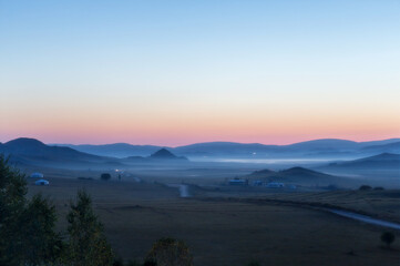 狗咬死的鸡有什么特点