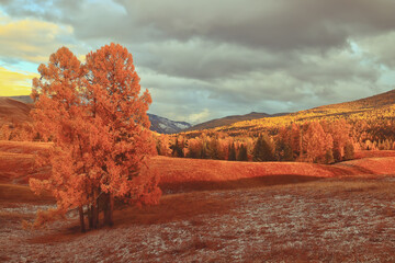 电流互感器运行中二次为什么不允许短路
