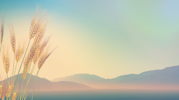 性能稼动率大于100的原因