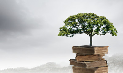 硅藻泥肌理施工工艺有哪些