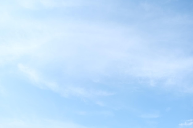 小龙虾是日本带来的么 日本6月起禁售小龙虾