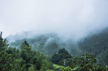 鲁班尺大门吉数